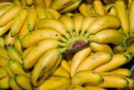 Image showing Burro bananas