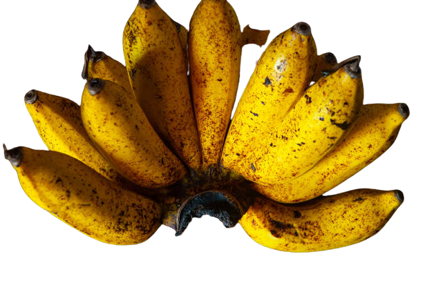 Image showing Barangan Bananas