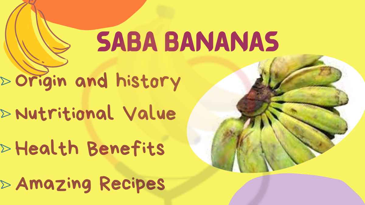 Image showing the Saba Bananas