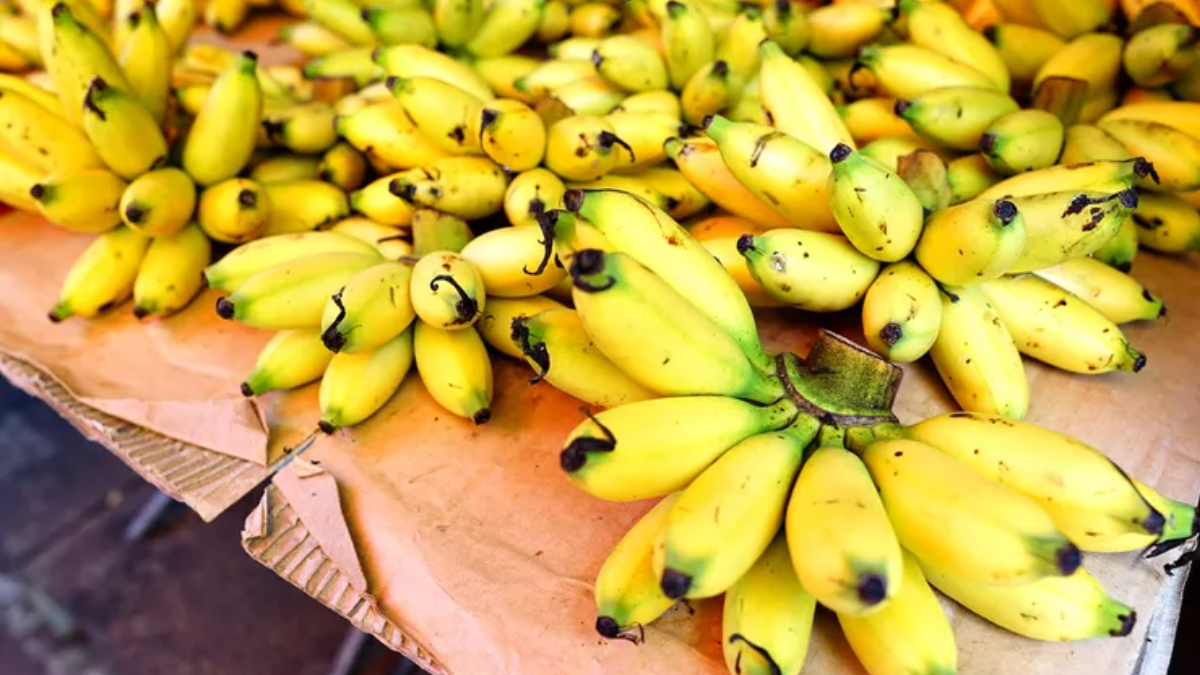 Image showing the Manzano Banana-Variety of Banana