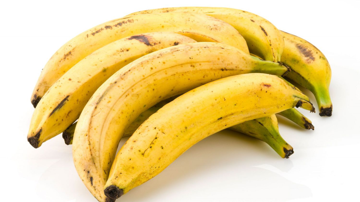 Image showing the Plantain Banana , Variety of banana