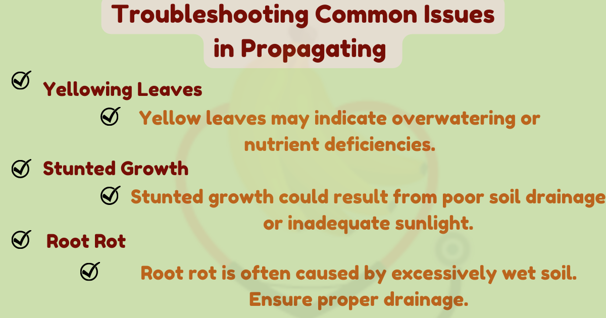 Image showing the Troubleshooting Common Issues