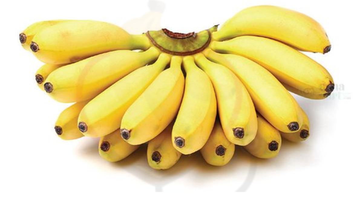 Image showing the Mysore banana