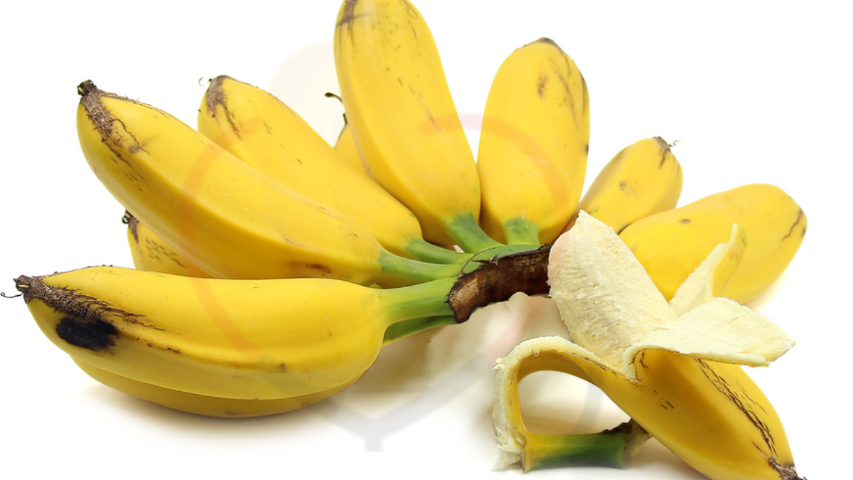 Image showing Orinoco Banana