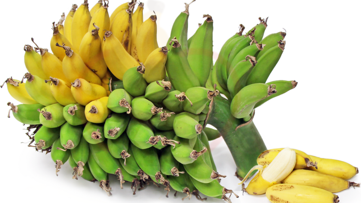 Image showing the rajapuri banana