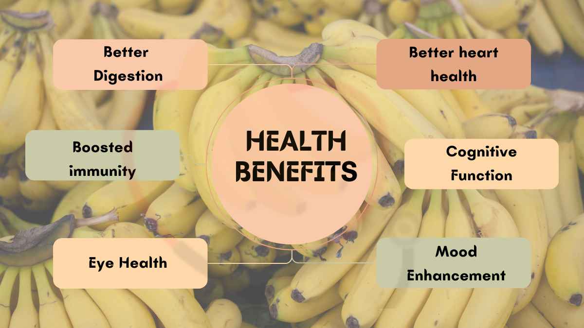 Image showing the Health Benefits of Antioxidants in Bananas