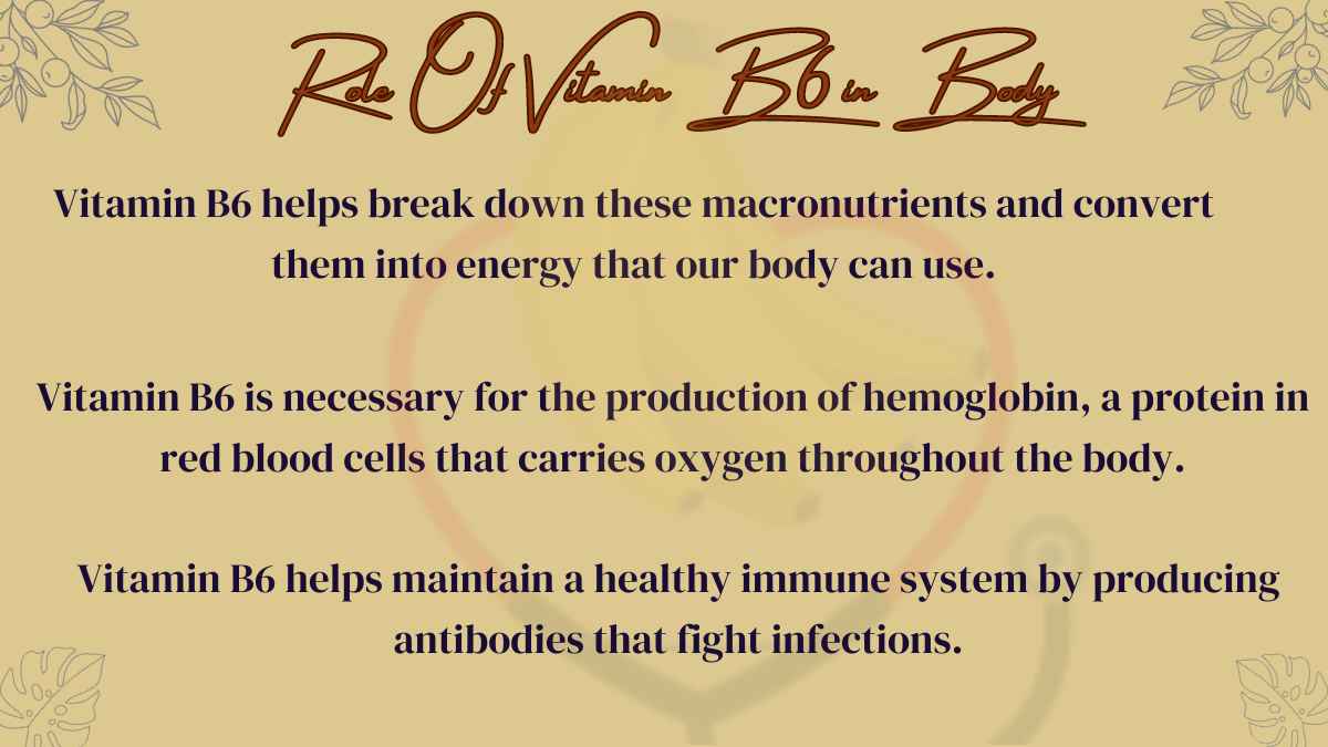 Image showing the Role of Vitamin B6 in Body