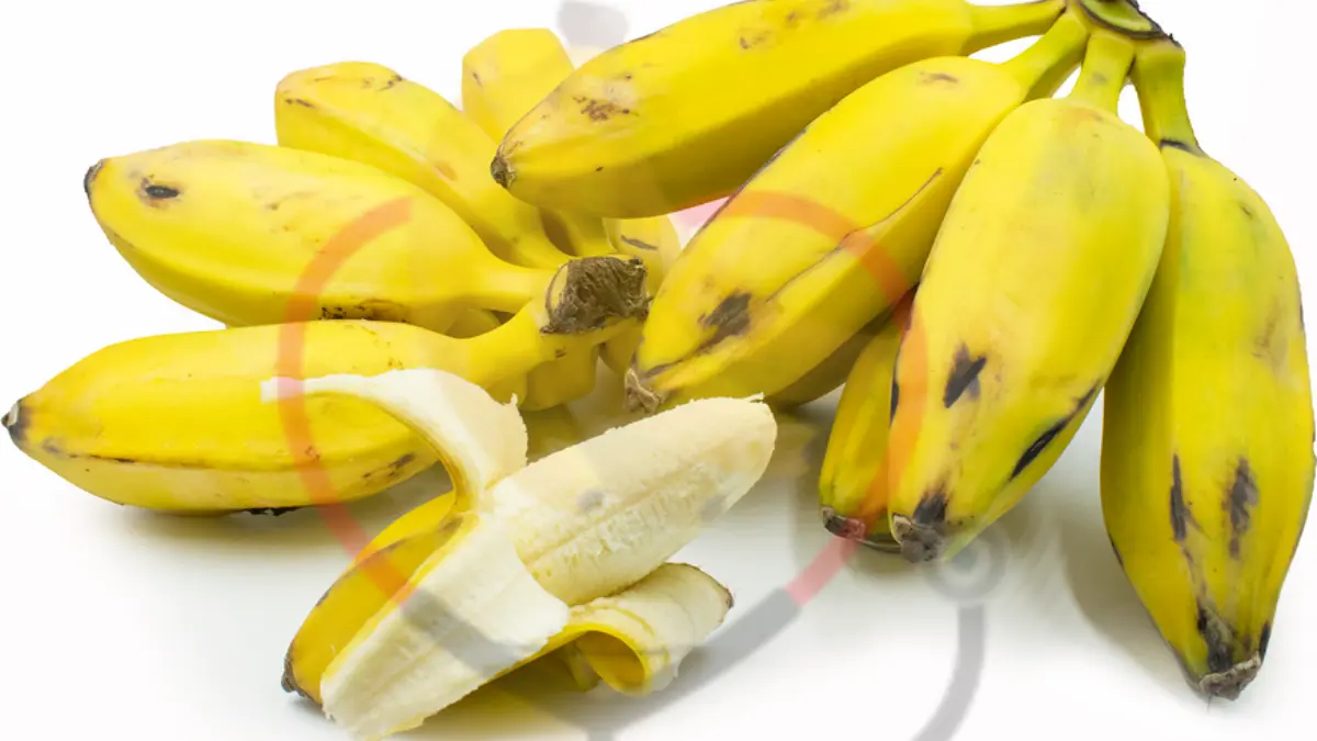 Image showing burro banana