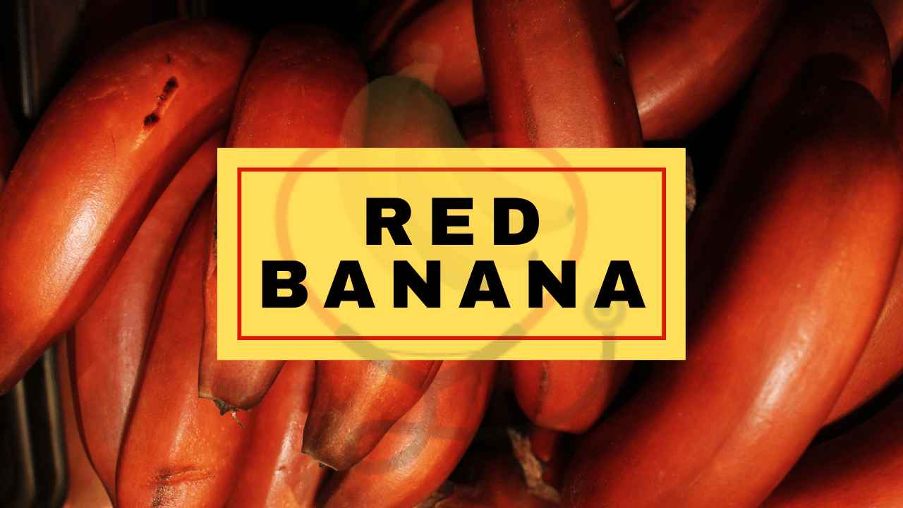 image showing Red banana