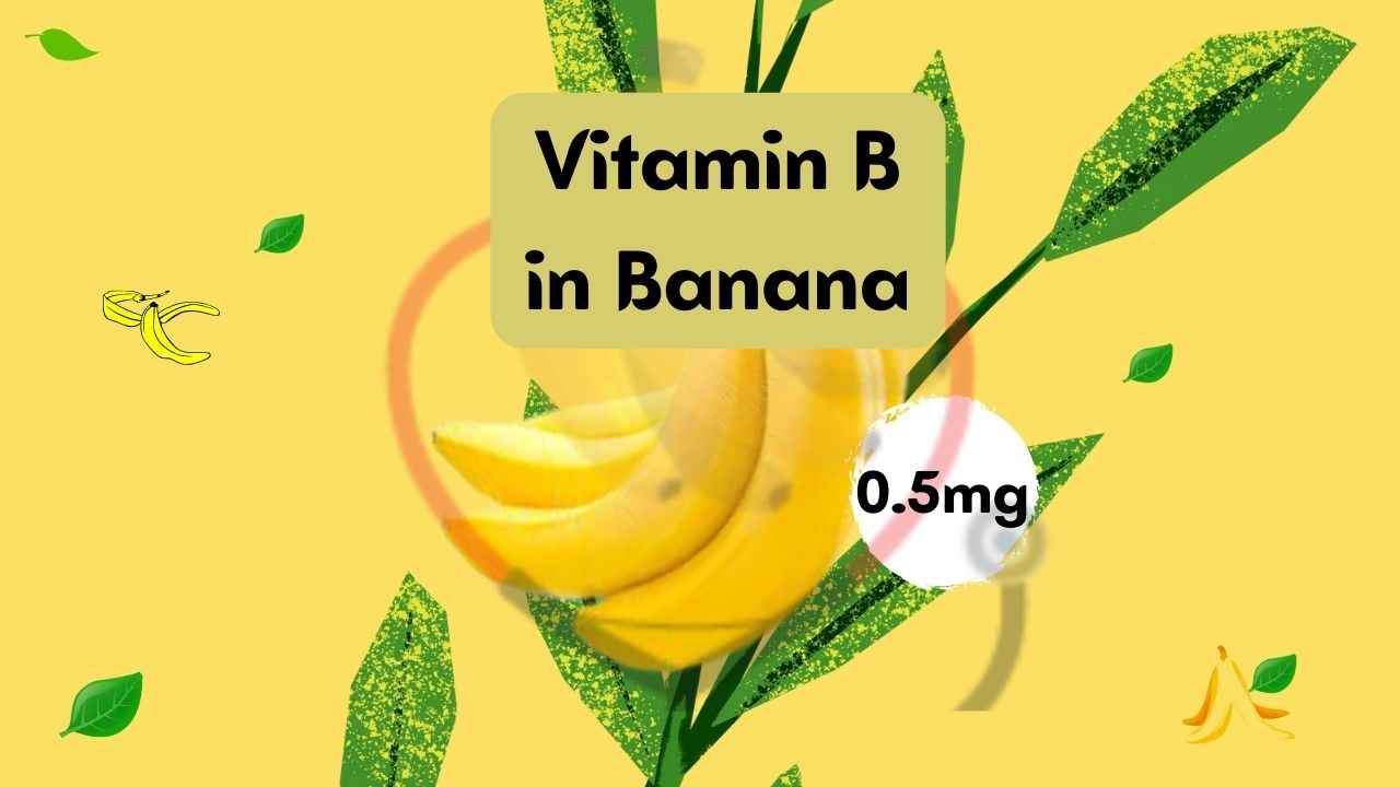 Vitamin B6 in Bananas 5Health Benefits, Sources