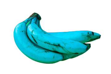 image showing blue java banana type