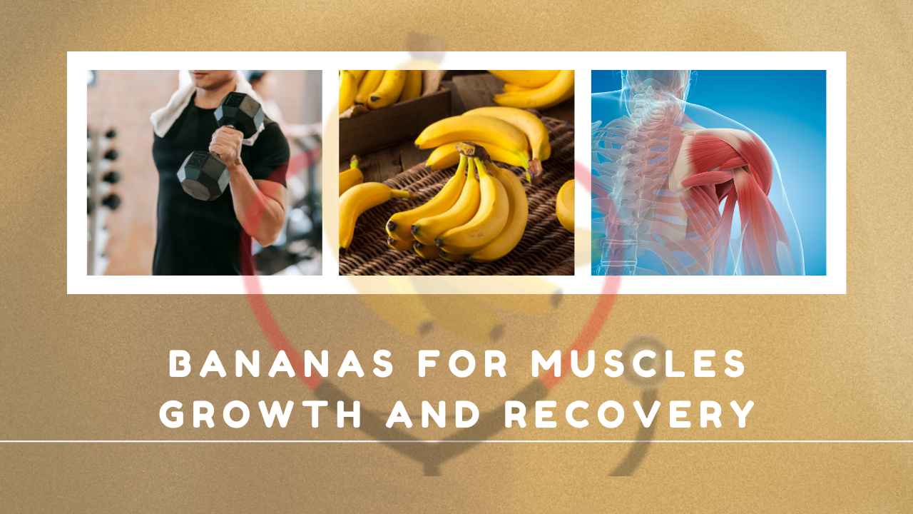 Image showing Bananas for muscles growth and recovery