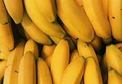image showing cavendish banana type