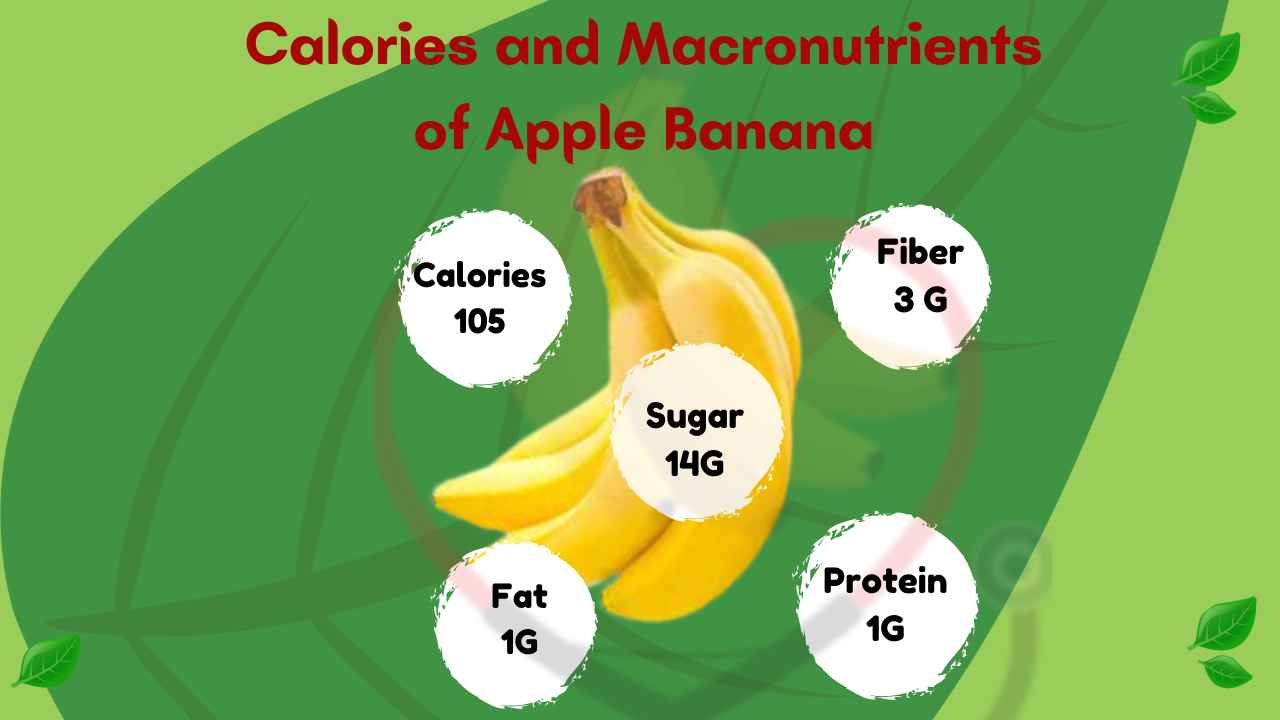 Image showing Calories and Macronutrients in Apple Banana