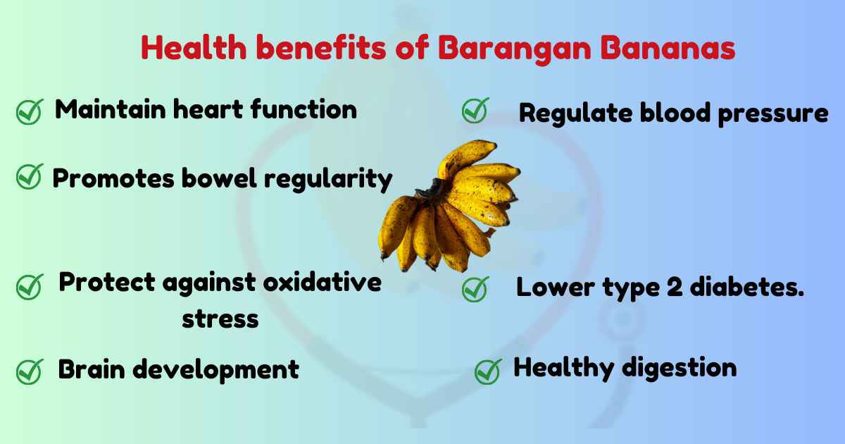 Image showing Health benefits of Barangan Bananas