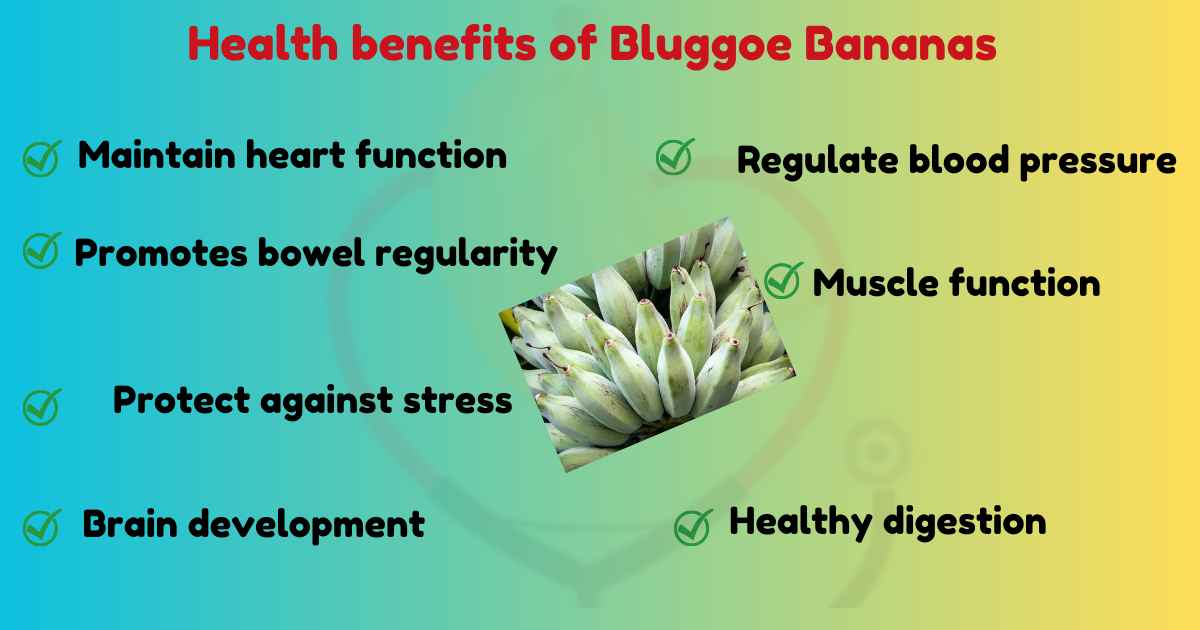 Image showing Health Benefits of Bluggoe Banana
