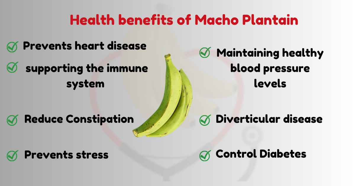 Image showing Health Benefits of Macho Plantain 