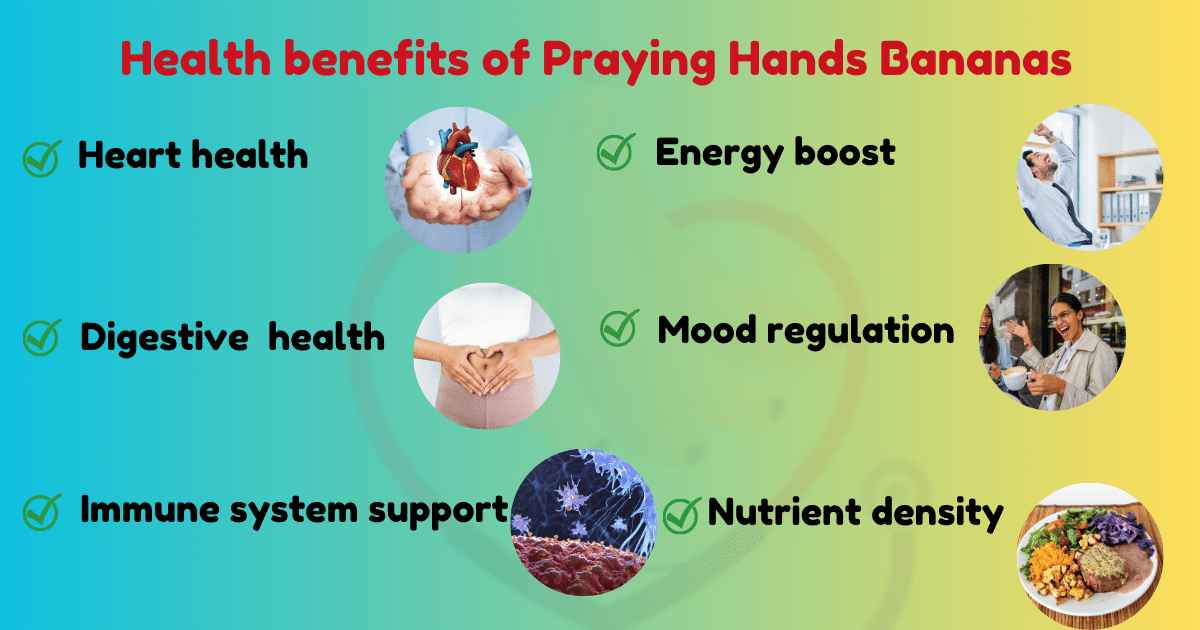 Image showing Health Benefits of Praying Hands Bananas