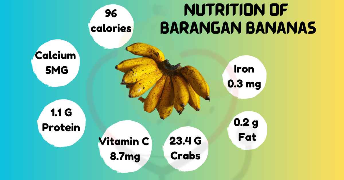 Image showing Nutrition of Barangan Bananas
