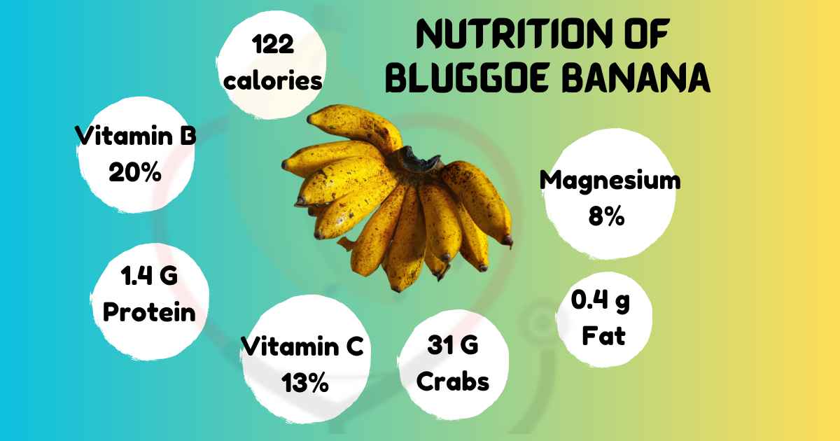 Image showing nutrition of Bluggoe Banana