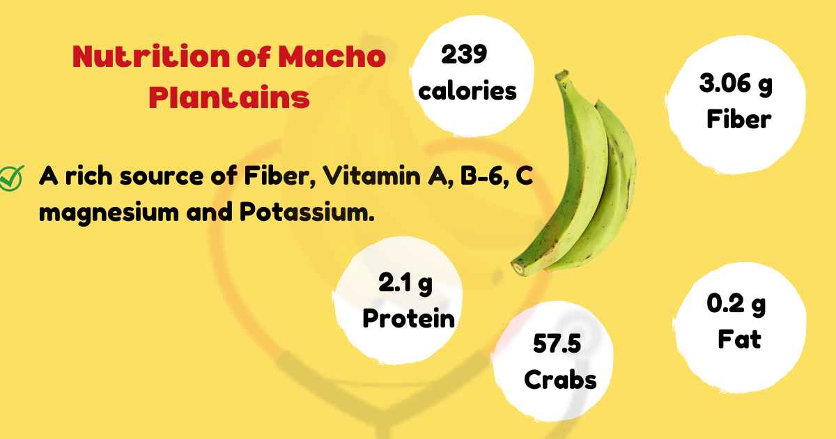 Image showing Nutrition of Macho Plantain