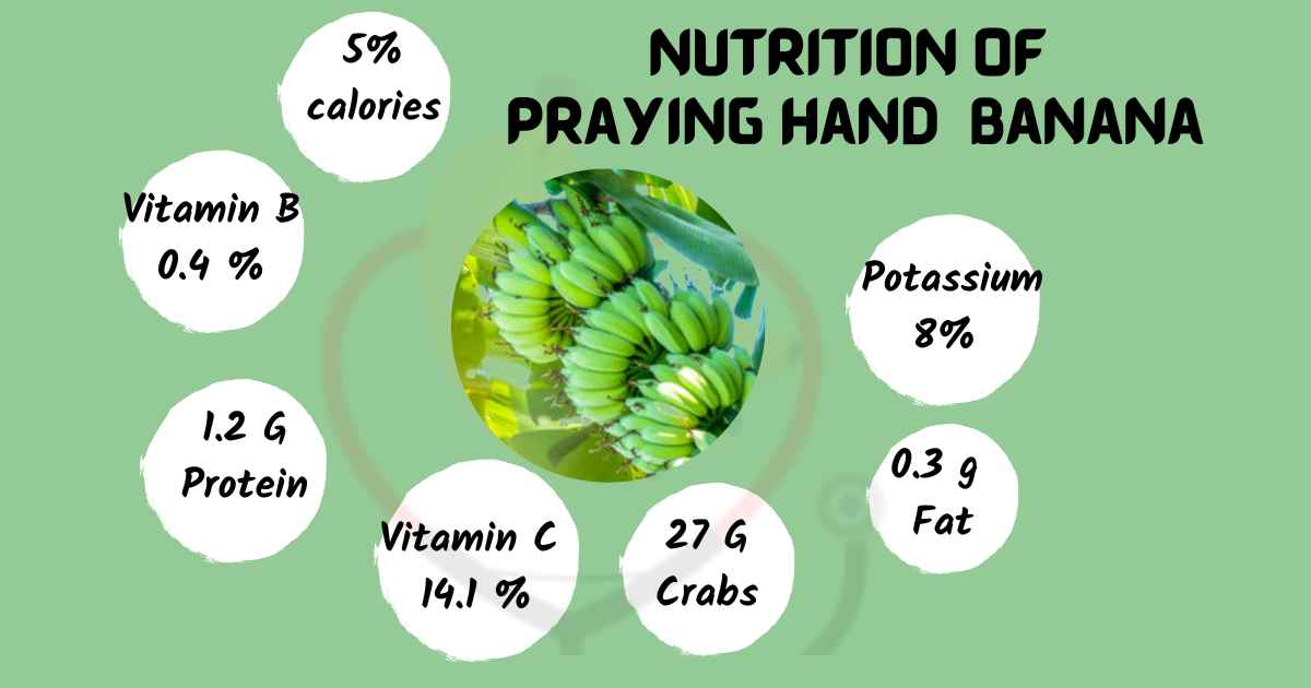 Image showing Nutrition of Praying Hands Bananas