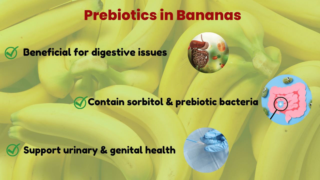 Image showing Prebiotics in Bananas