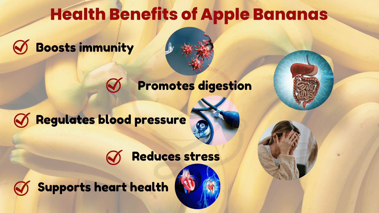 Image showing Health Benefits of Apple Bananas