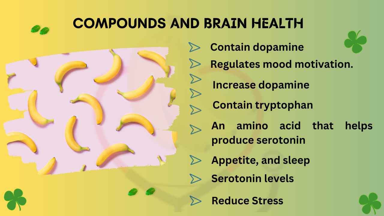 Image showing other Compounds of banana and brain health