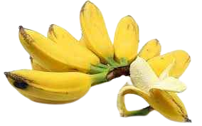 Image showing Orinoco Banana- Variety of banana