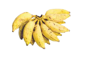 Image showing the Gold finger Banana-Variety of Banana