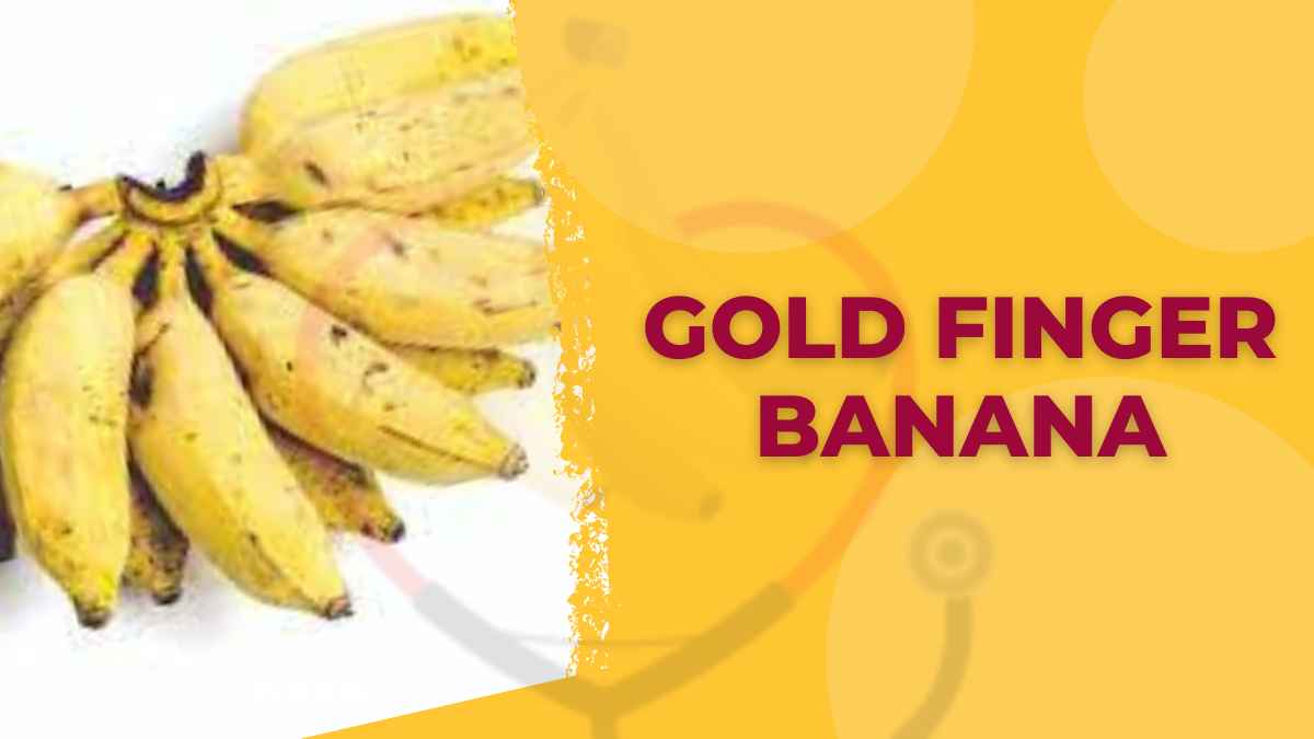 Image of Gold Finger Banana