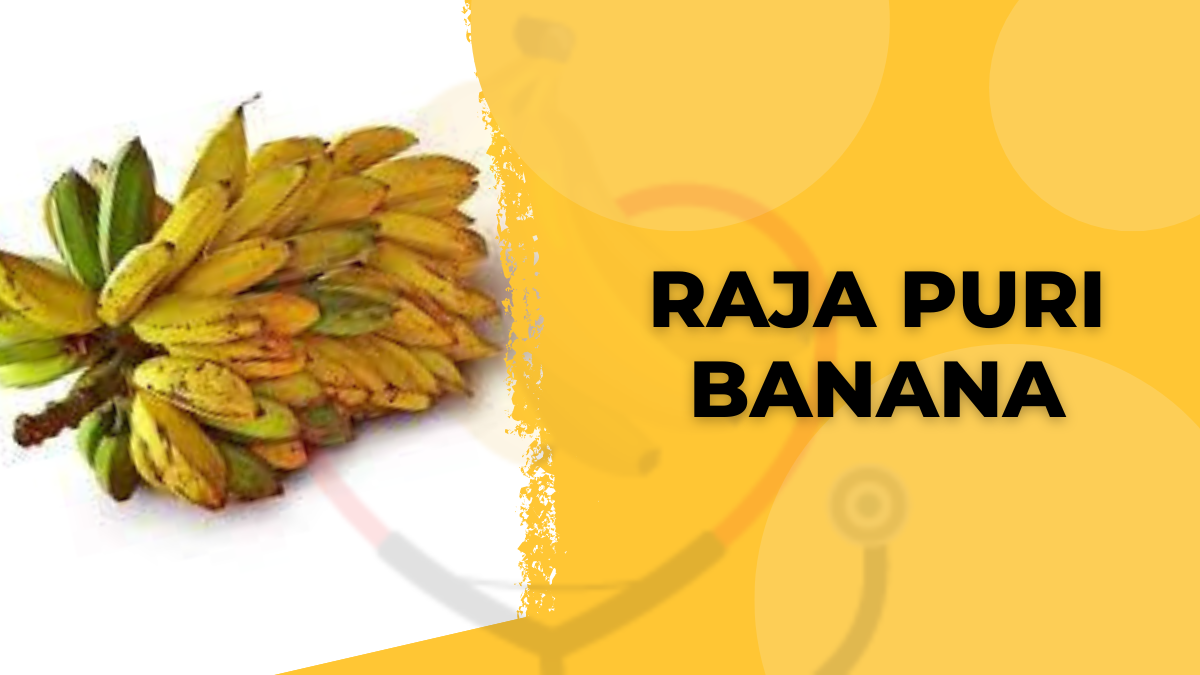 Image showing the Rajapuri Banana