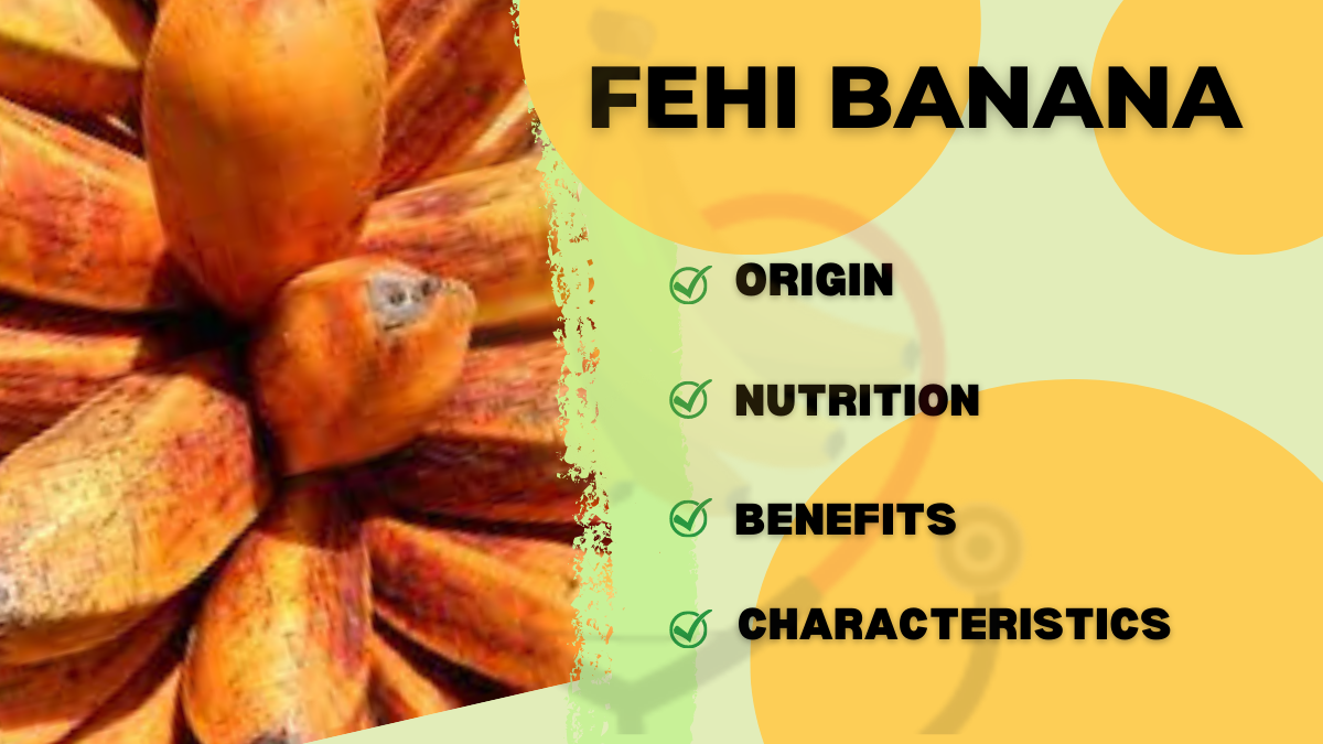 Image showing the fehi banana