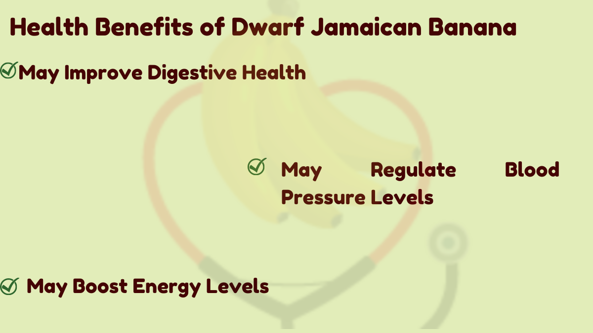 Image showing the Health Benefits of Dwarf Jamaican Banana