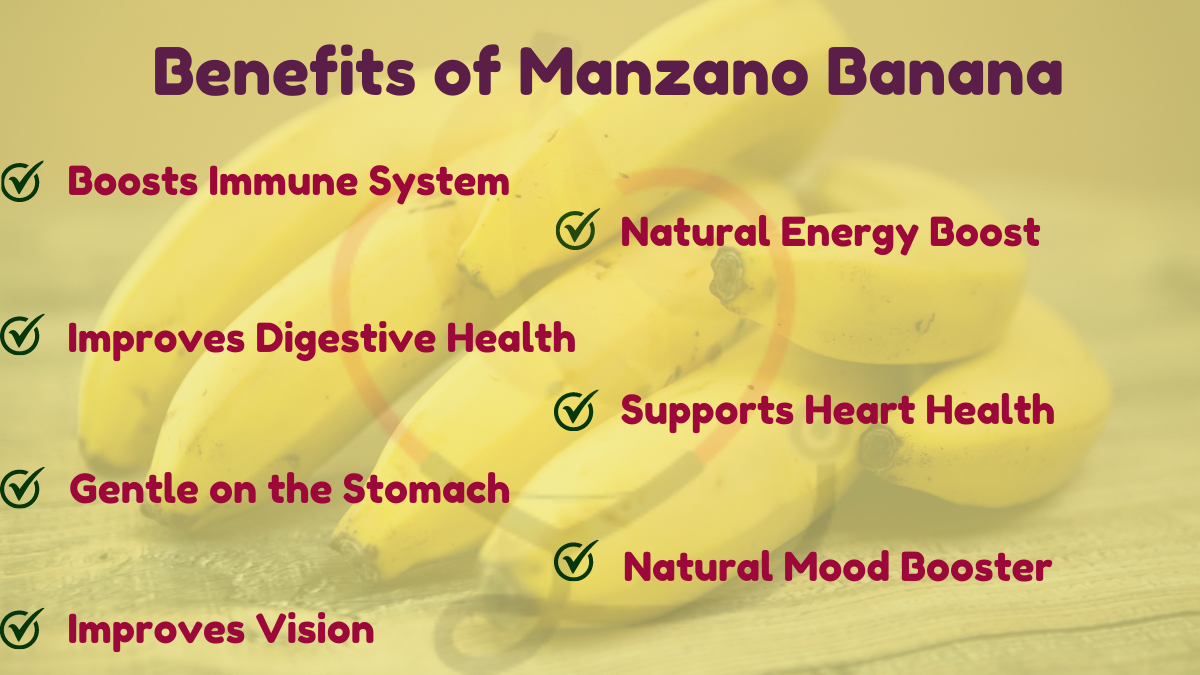 Image showing the Health benefits of Manzano Banana