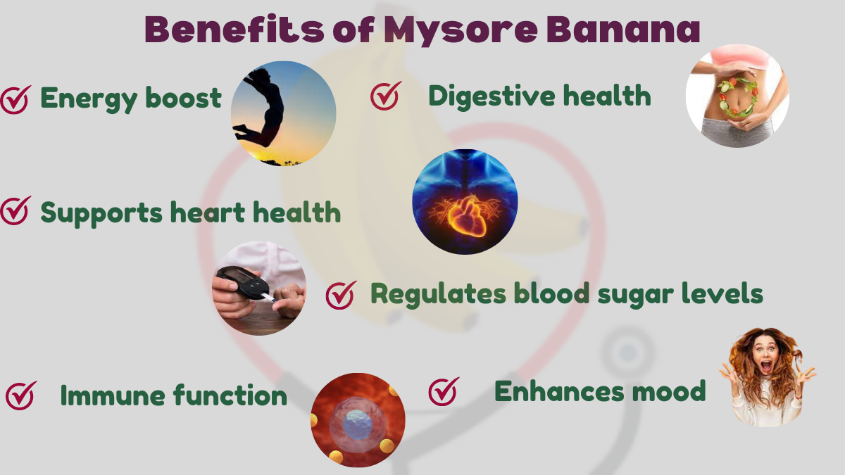 Image showing the health benefits of Mysore Banana