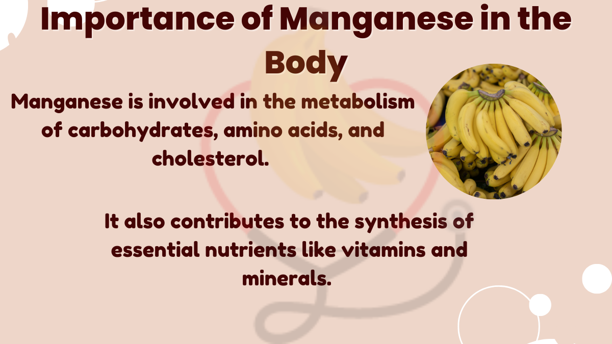Image showing the Importance of Manganese in the Body
