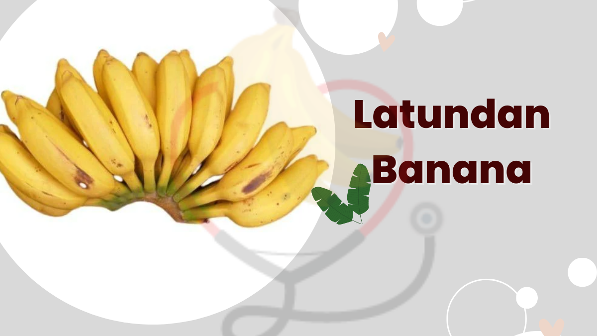 Image showing the Latundan Banana