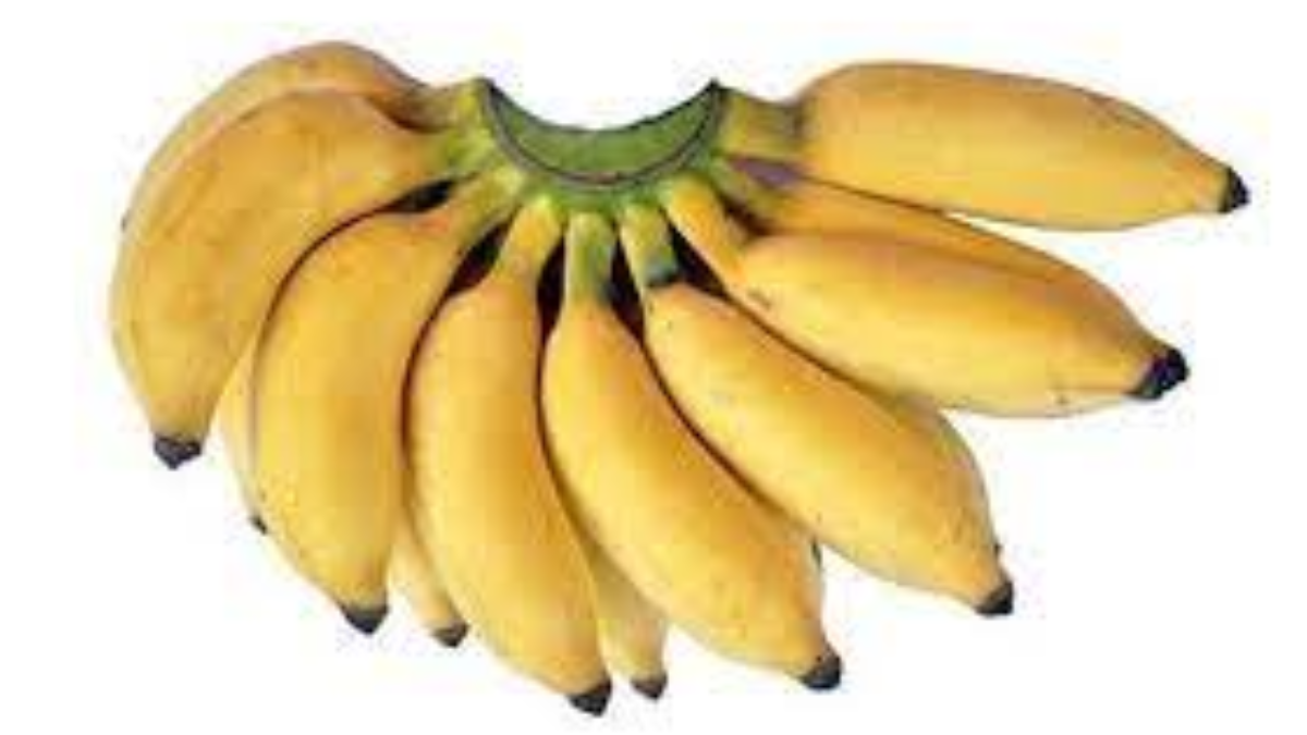 Image showing the Mysore Banana