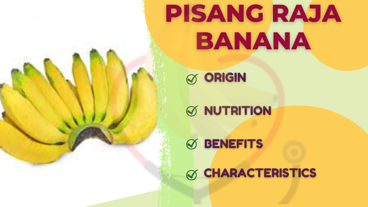 Image showing the Pisang Raja Banana