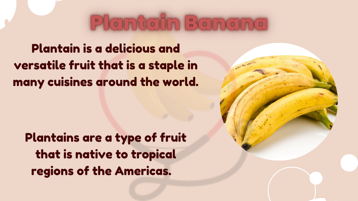 Image showing the Plantain Banana