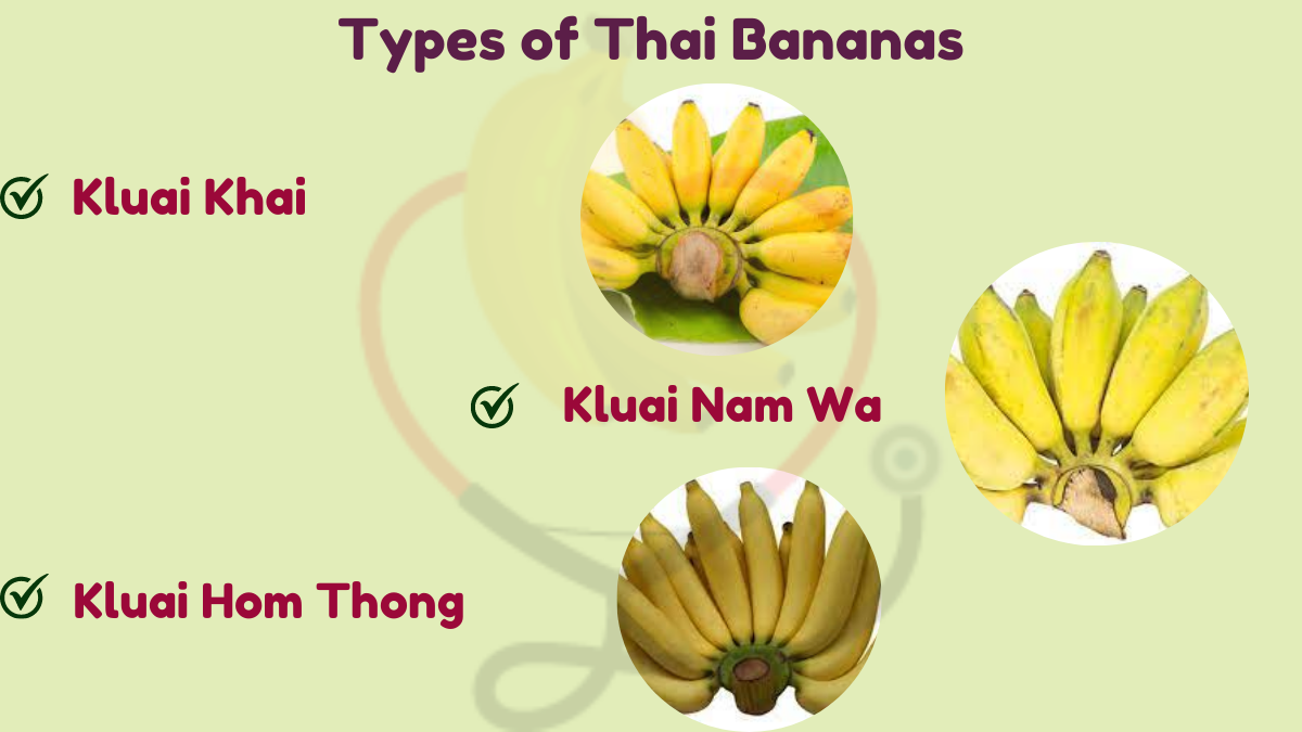 Image showing the types of Thai banana
