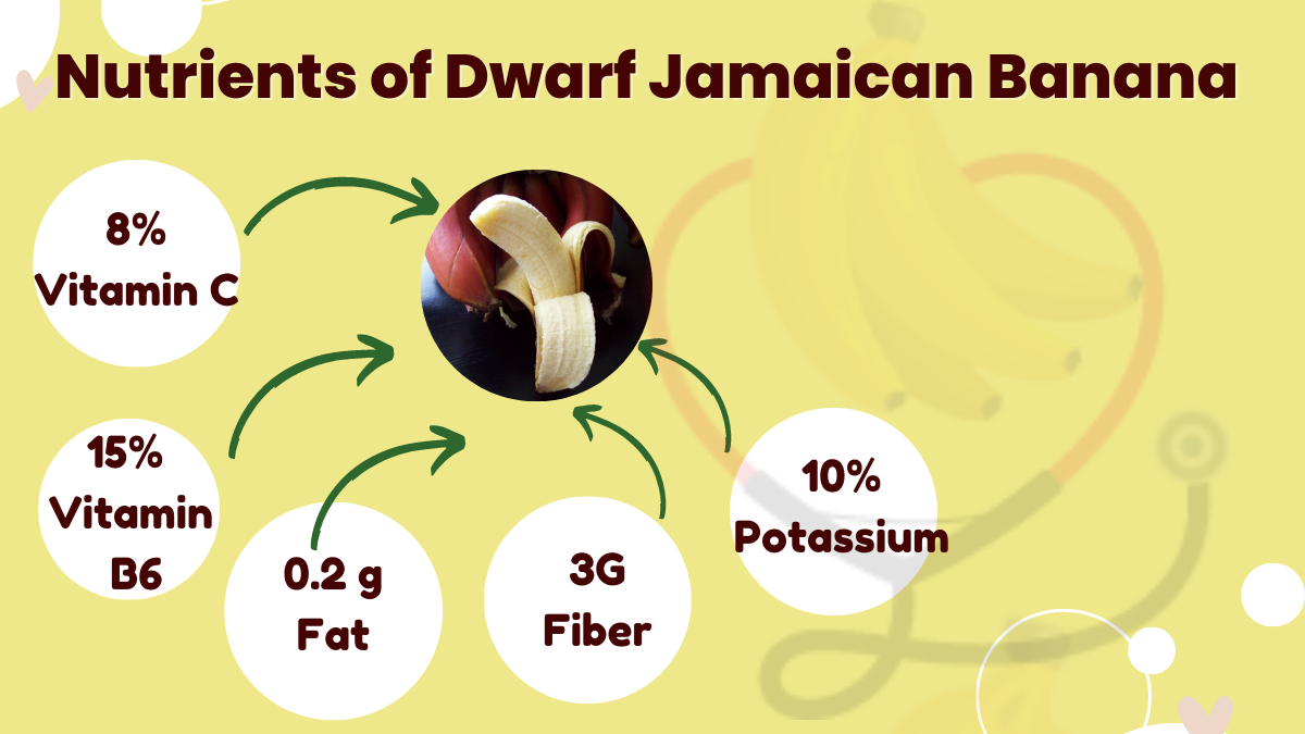 Image showing the Nutritional Values of Dwarf Jamaican Banana