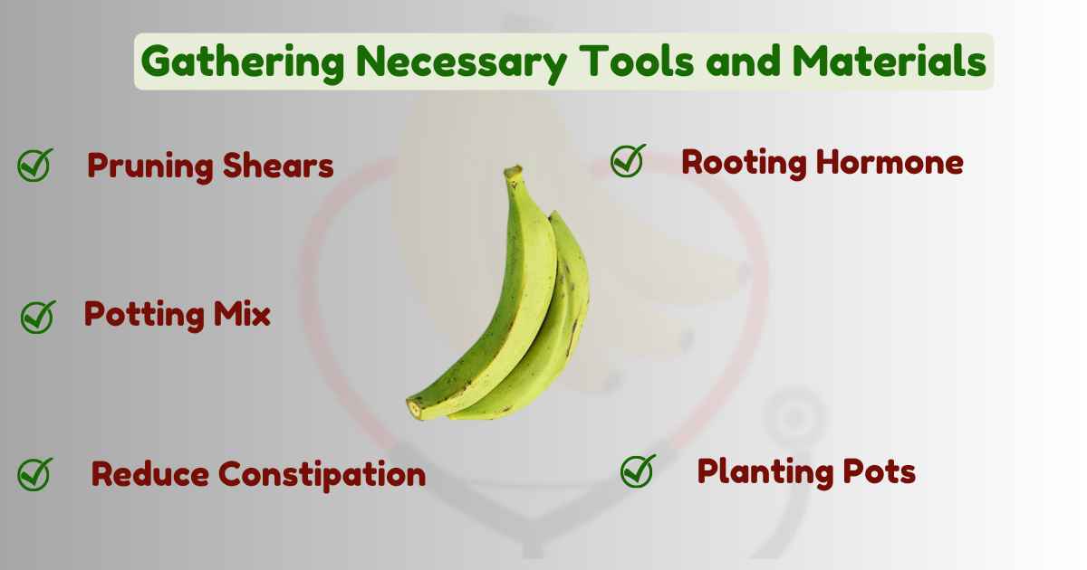 Image showing the Gathering Necessary Tools and Materials