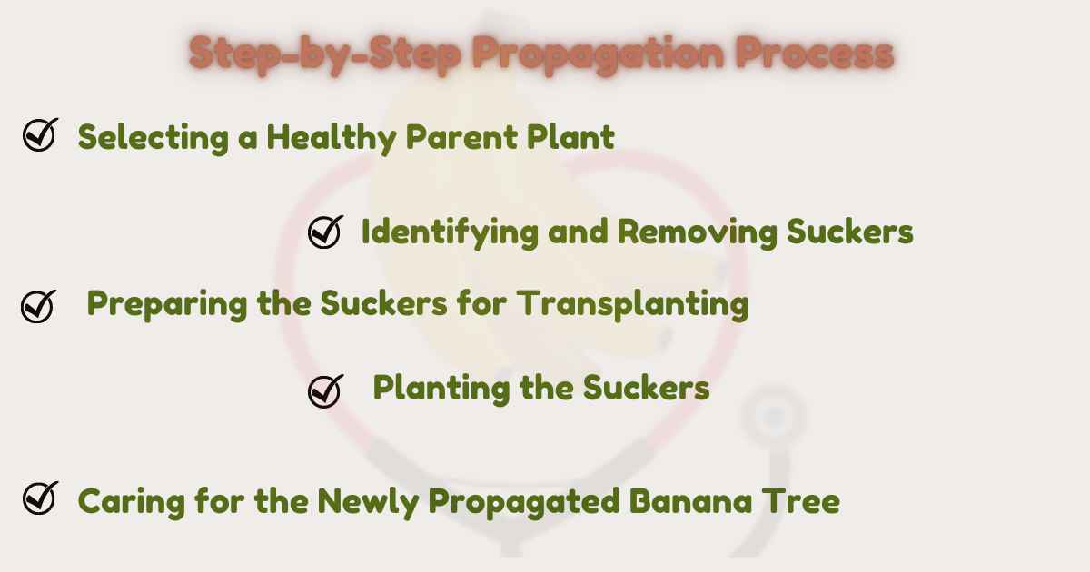Image showing the Step-by-Step Propagation Process