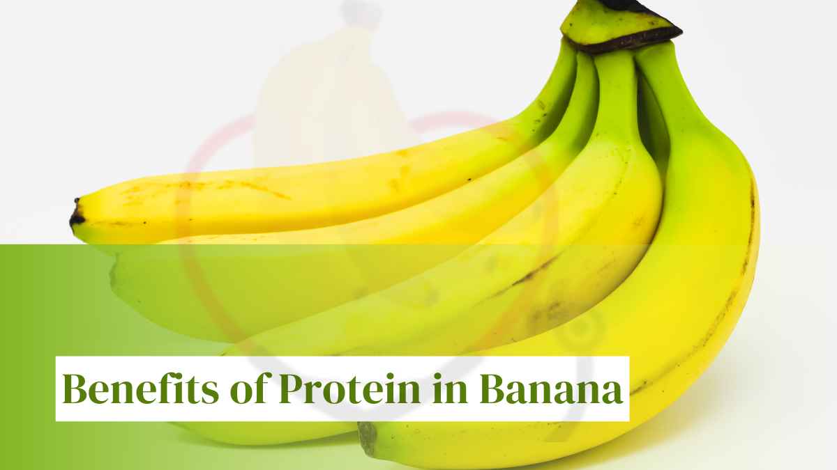 Image showing the Benefits of Protein in Banana