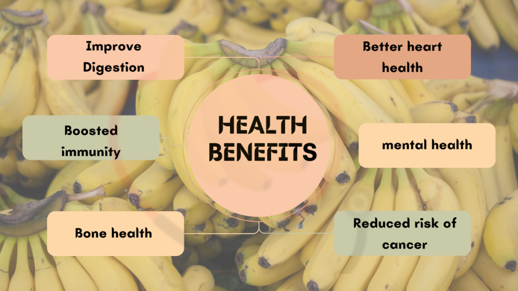 Vitamins and Minerals in Banana Banana Dose