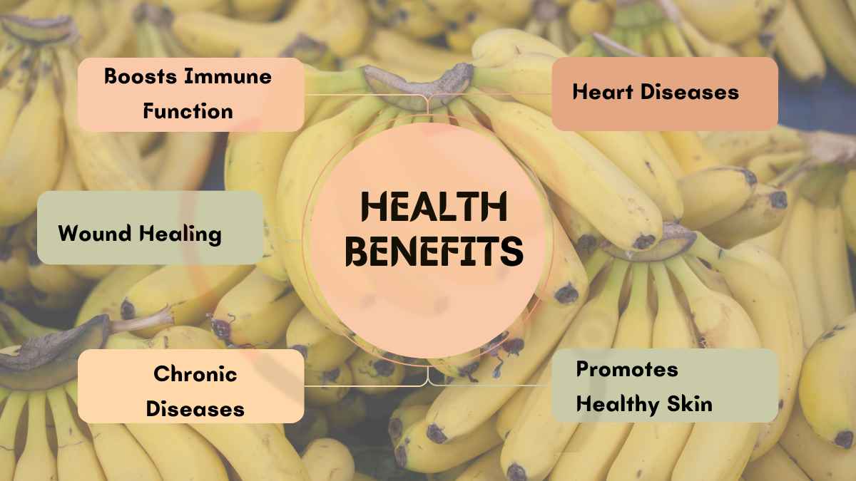 Image showing the Health Benefits of Vitamin C