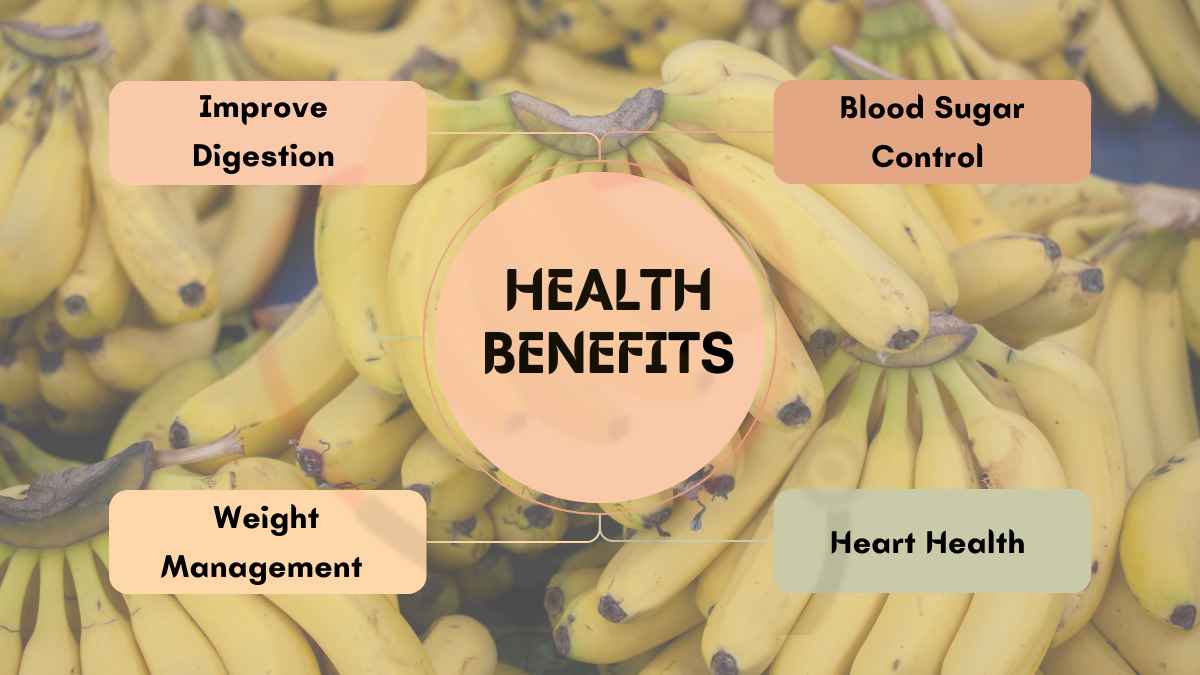 Image showing the Benefits of Banana Fiber